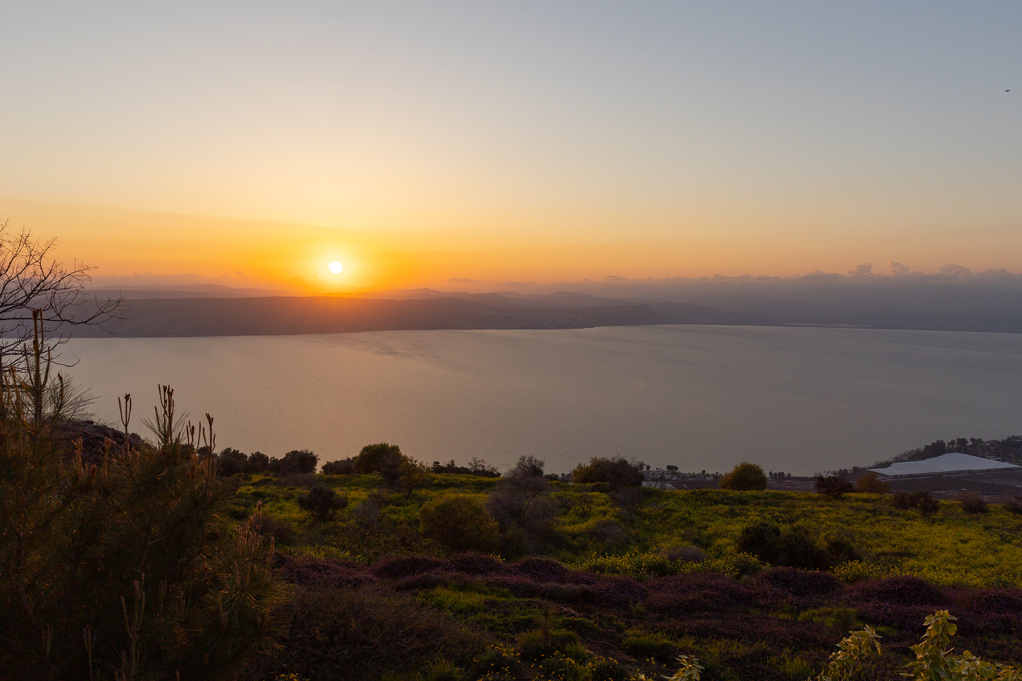 A photo by Kristi McLelland of a golden sunset casting reflections on the sea with the lush hillside in view.