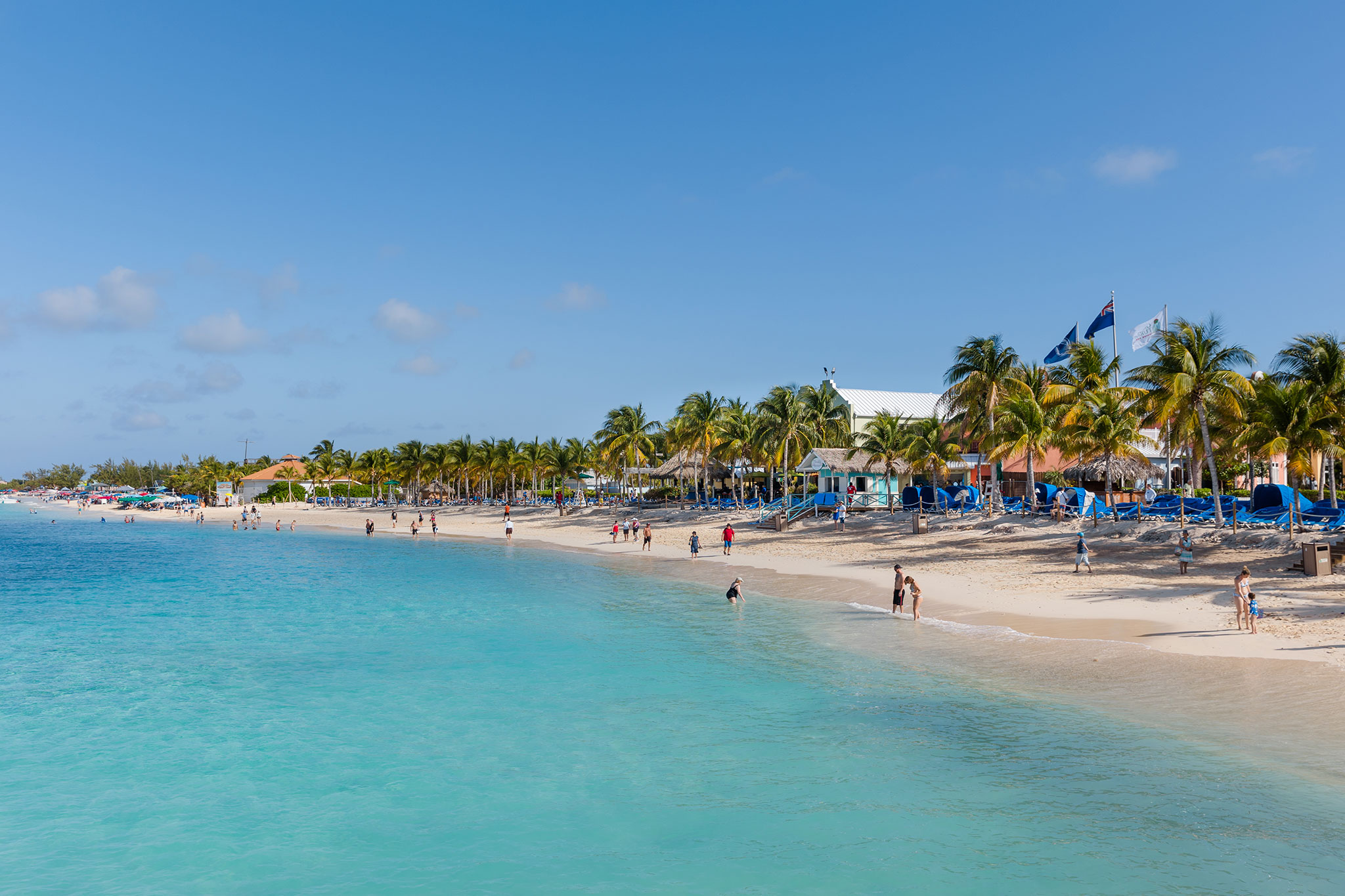 A tropical beach scene featuring a line of palm trees and beach huts along the shore, with people swimming and sunbathing in clear blue waters.