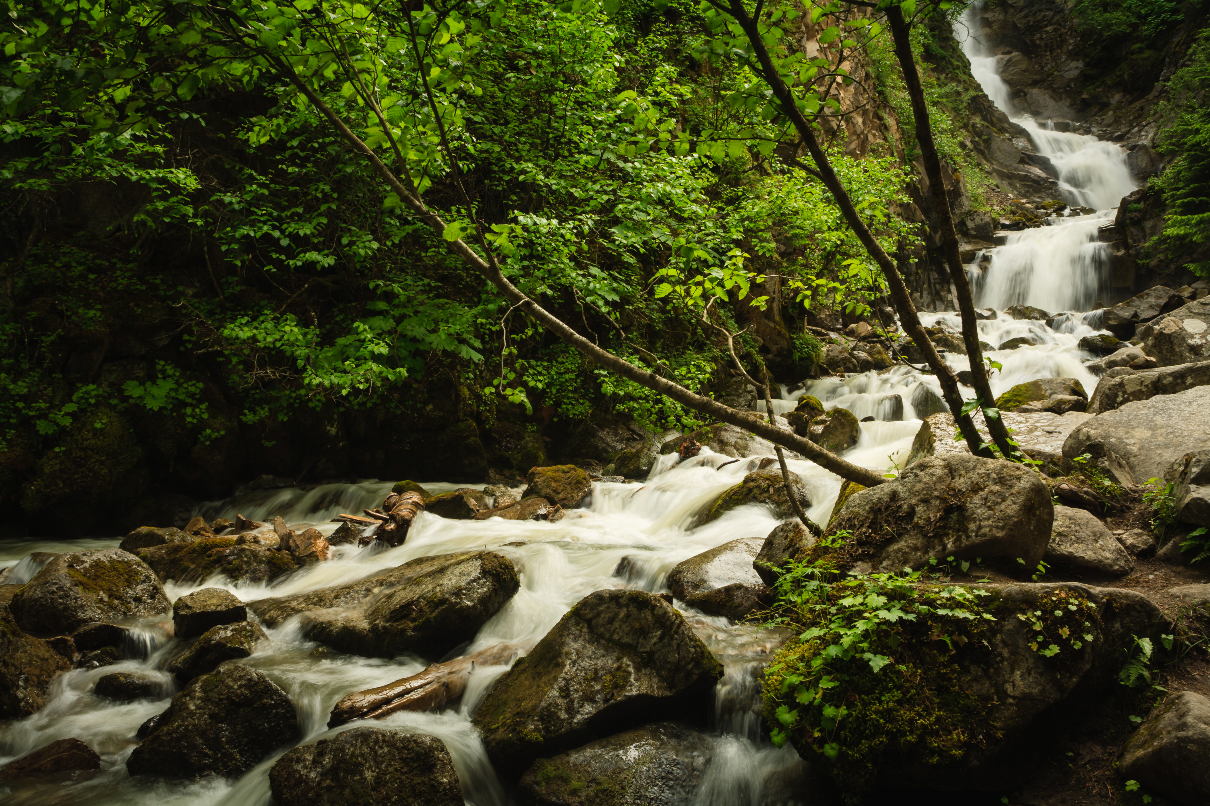 Waterfall passing through Lower Reid Falls in Skagway, Alaska