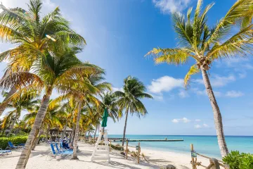 Palm trees sway on a sandy beach with lounge chairs and a lifeguard stand overlooking the tranquil turquoise sea on a sunny day