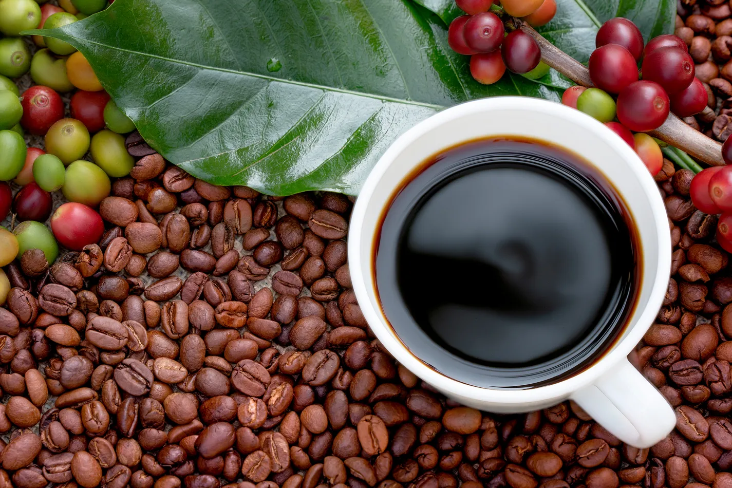 Kona Coffee