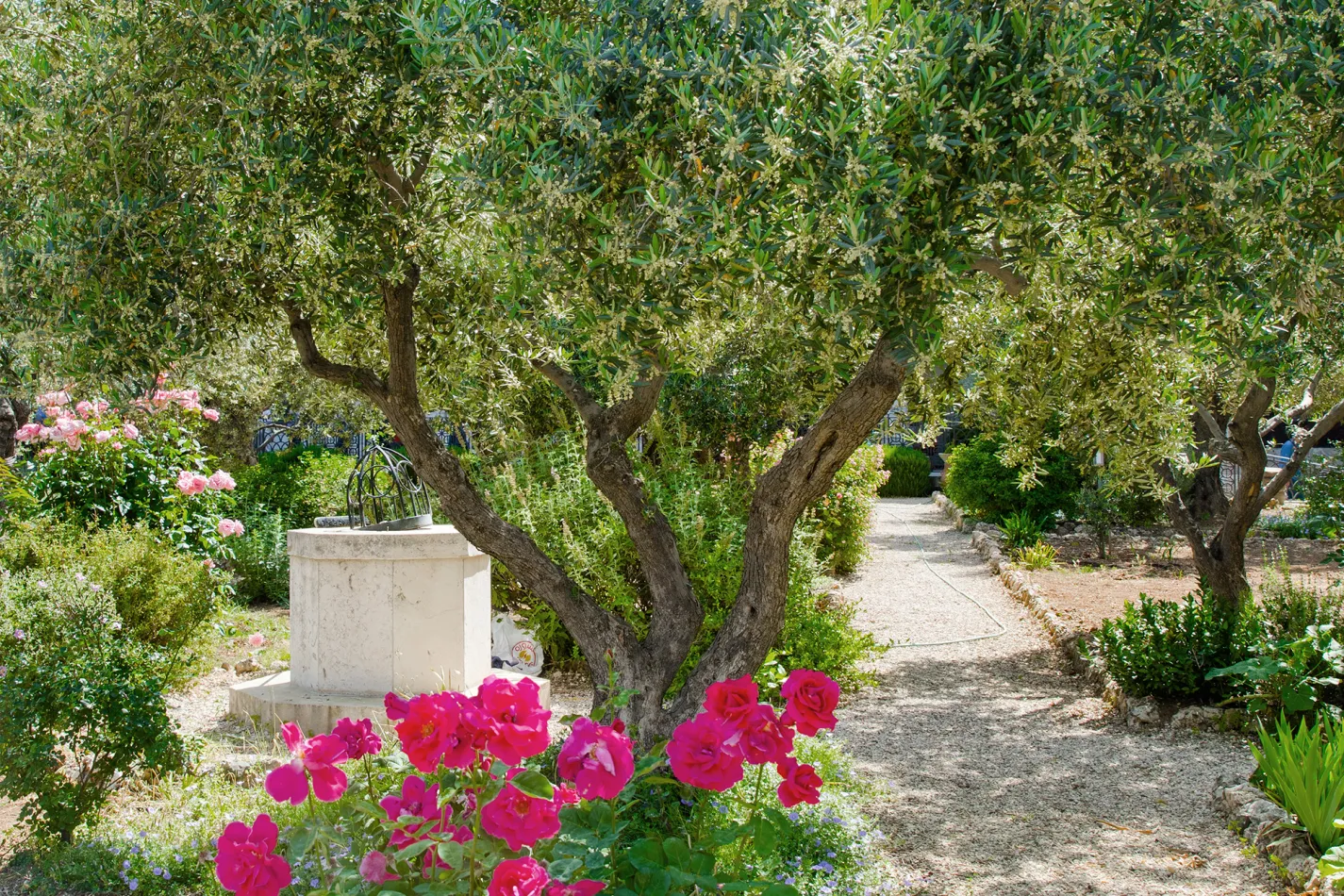 Garden of Gethsemane