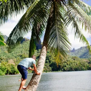 man climbing palm tree on hawaiian beach