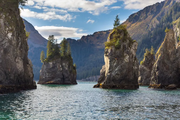Kenai Fjords National Park in Alaska with rugged sea stacks topped with evergreen trees, steep coastal cliffs, and calm ocean water.
